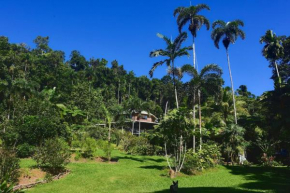 A Daintree Garden